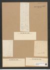 Grammatophora oceanica var. macilenta Grun. (de-Toni-Nr.: Genus 93, Species 3036) Zeichnungen Sammlung Grunow Nr. 6157 (NHMW-BOT-W0374720)